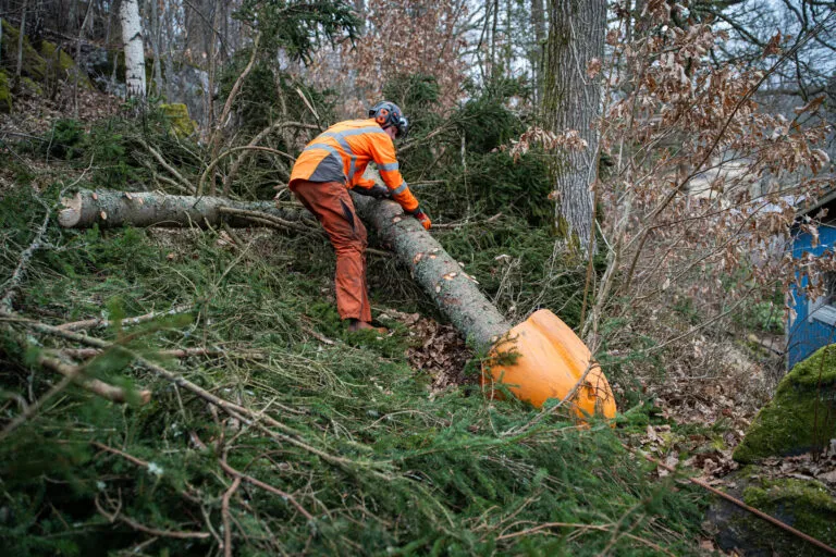 Trädfällning Alingsås