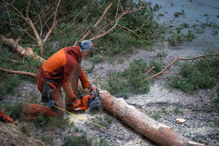 Bortforsling trädavfall Alingsås