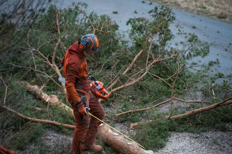 Arborist arbete Alingsås