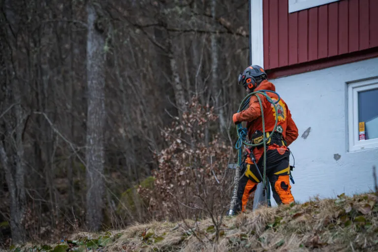 Trädfällning Alingsås