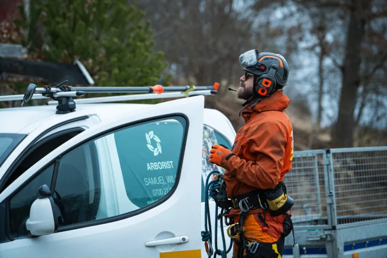 Trädfällning Alingsås